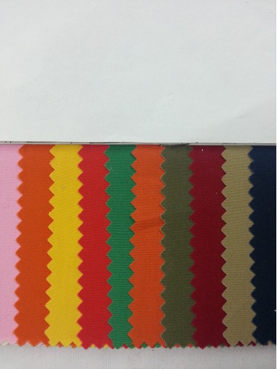 HK LNHE  T/C 136''72 磨毛防水 細節-1